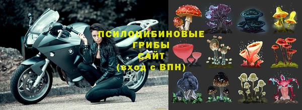 наркотики Алексин