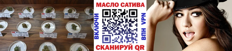 ТГК Wax  кракен вход  Стародуб 