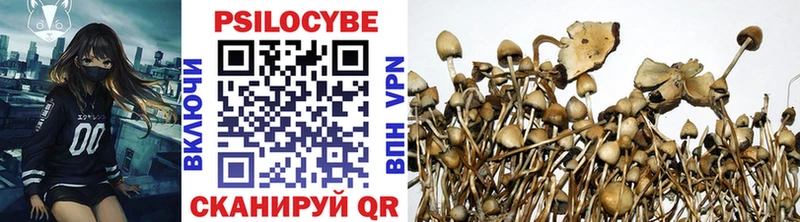 Галлюциногенные грибы Psilocybe Стародуб